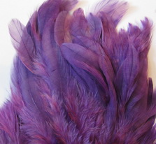������� ���� Hen feathers  ����������